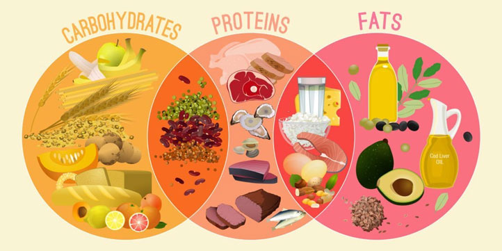 diet-guide_722x361